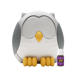 DIFFUSER – Feather the Owl