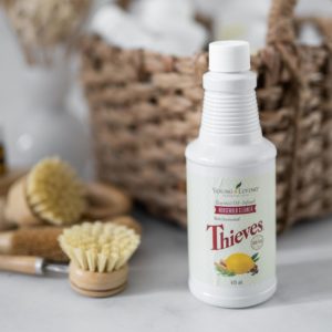 Spring Cleaningkit